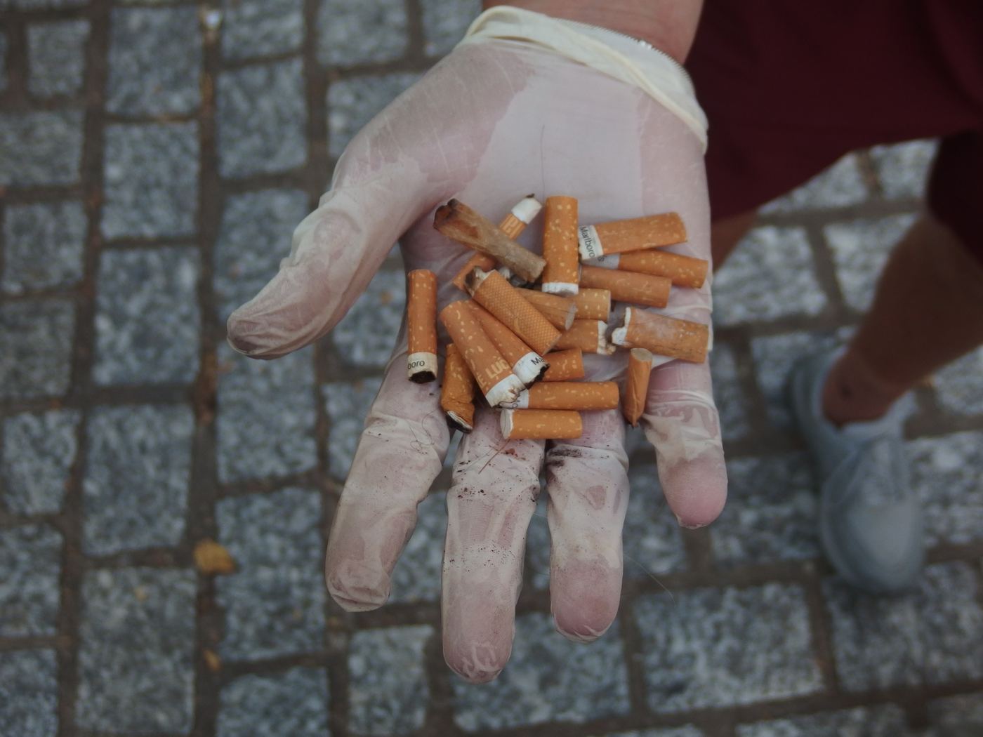 A gloved hand holding cigarette butts collected during a street cleanup
